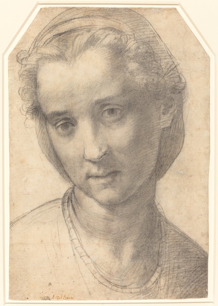 Cabeça de uma mulher de Andrea del Sarto