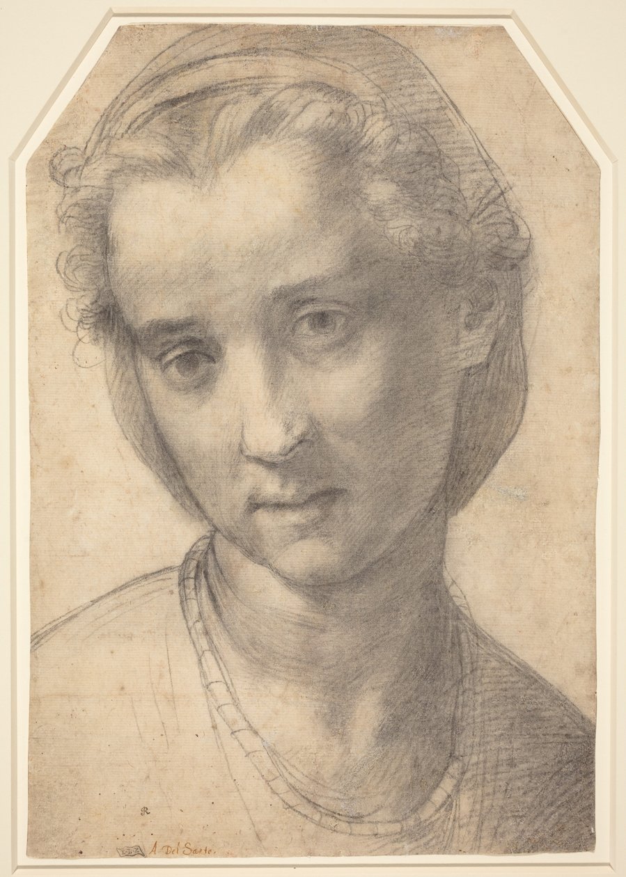 Cabeça de mulher de Andrea del Sarto