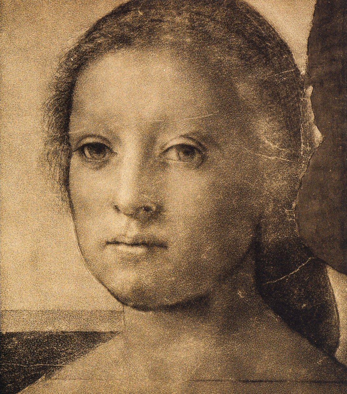 Cabeça de uma jovem mulher, desenhando por Andrea del Sarto. Gabinete de Desenhos e Gravuras, Galeria Uffizi, Florença de Andrea del Sarto