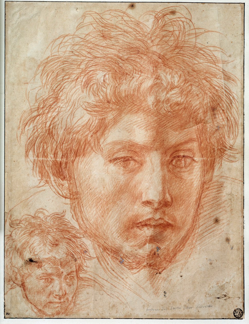 Cabeça de homem Desenhar a la sanguine d