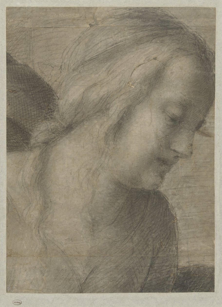 Cabeça de Maria, em Adoração de Andrea del Sarto