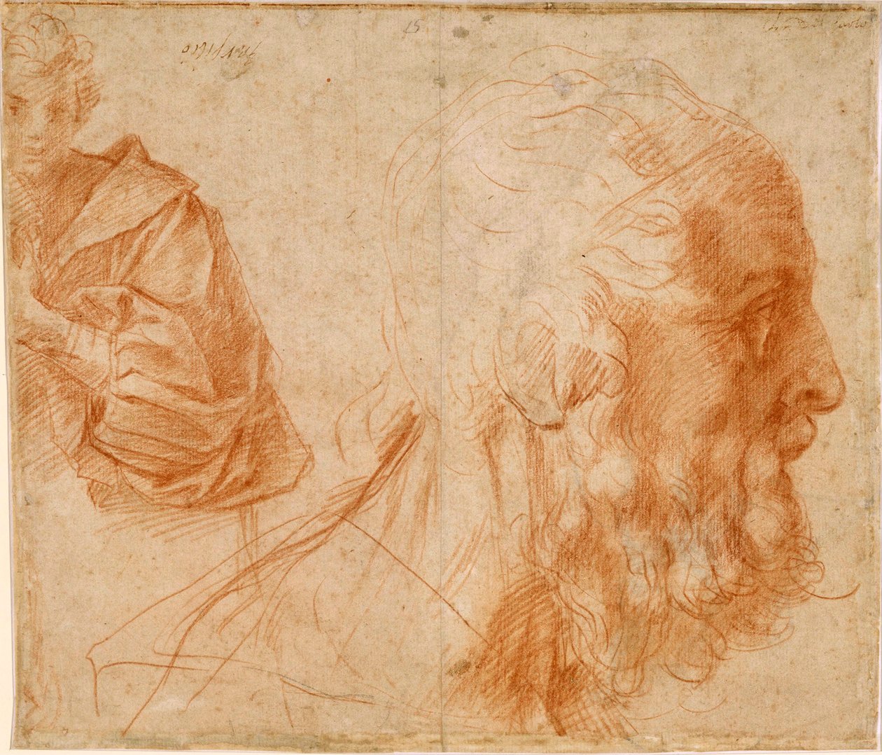"Jeune homme et tete de vieillard, provável Homere" (Um jovem e a cabeça de um homem velho (Homer?)) Dessin a la sanguine d