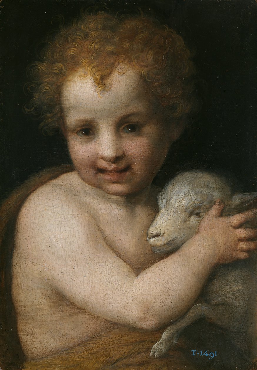 João Batista quando criança de Andrea del Sarto