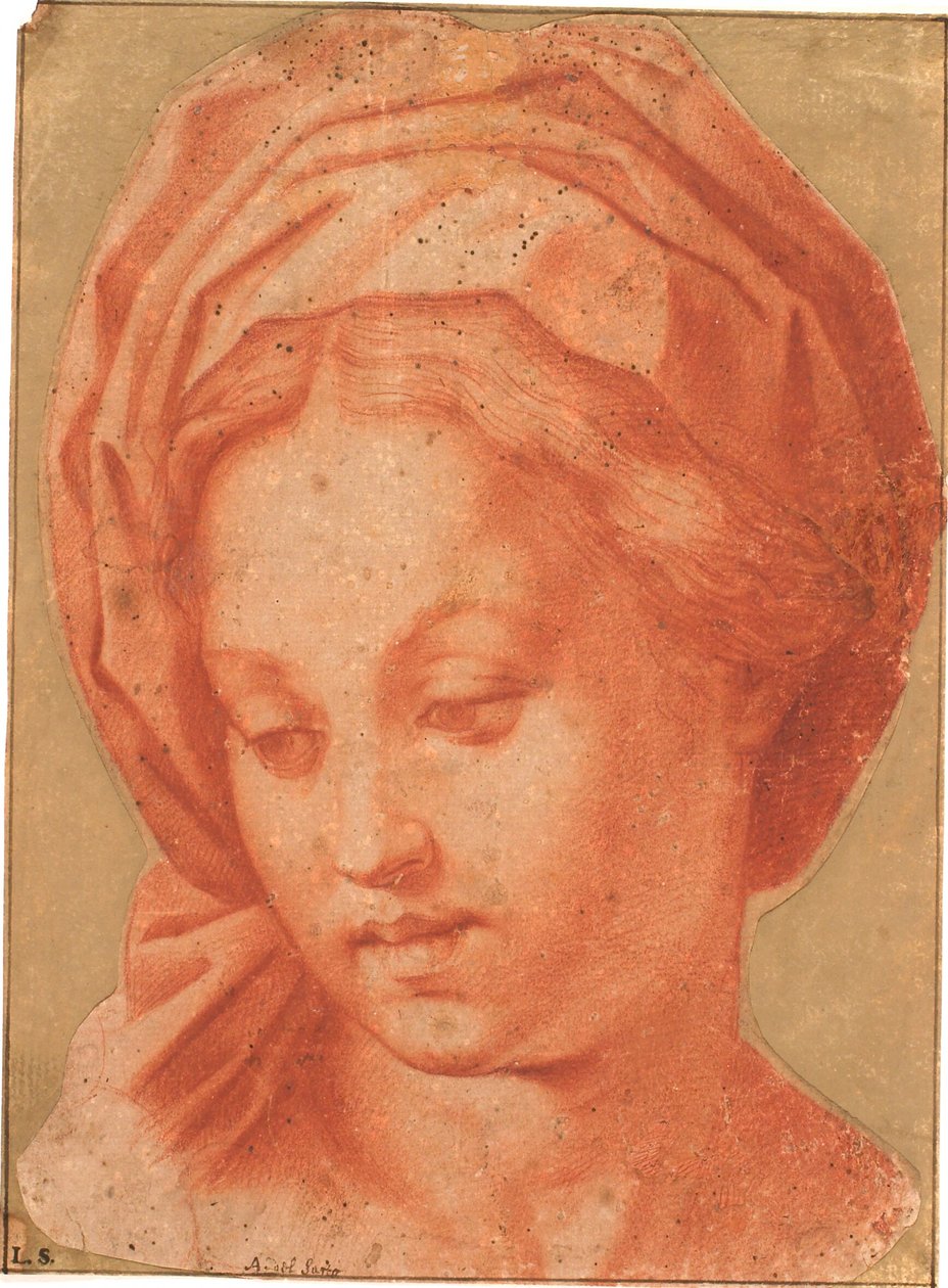 Madona Borghese de Andrea del Sarto