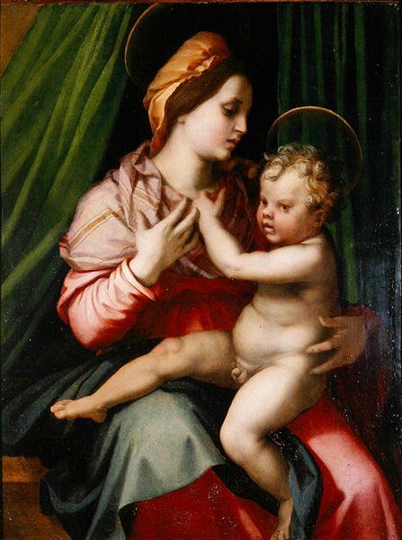 Madonna and Child (óleo sobre painel) de Andrea del Sarto