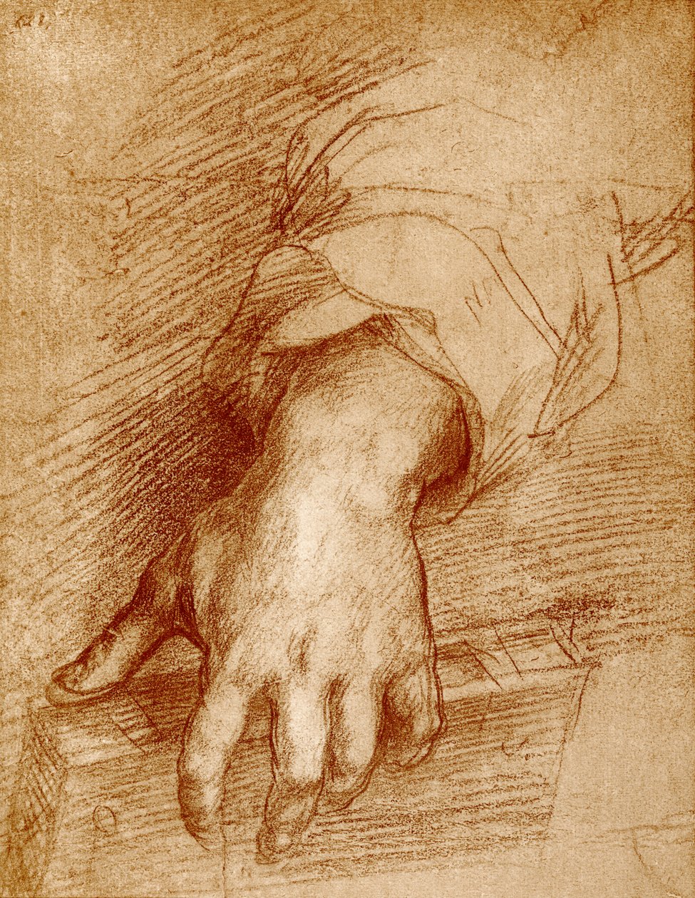 Madonna mão com livro de Andrea del Sarto