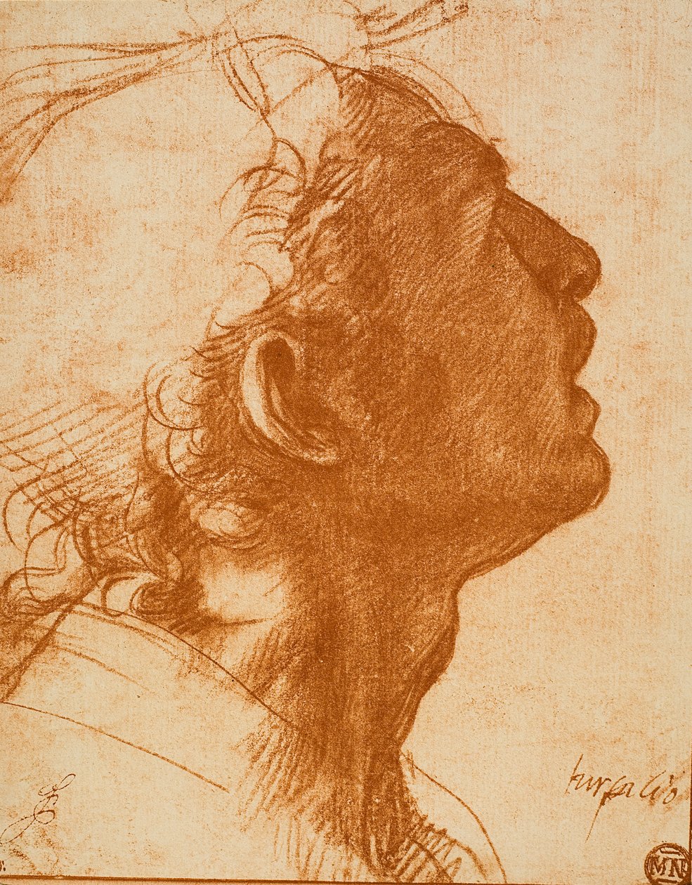 Cabeça masculina de Andrea del Sarto