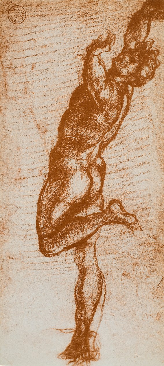 Figura masculina, desenhando por Andrea del Sarto. Gabinete de Desenhos e Gravuras, Galeria Uffizi, Florença de Andrea del Sarto