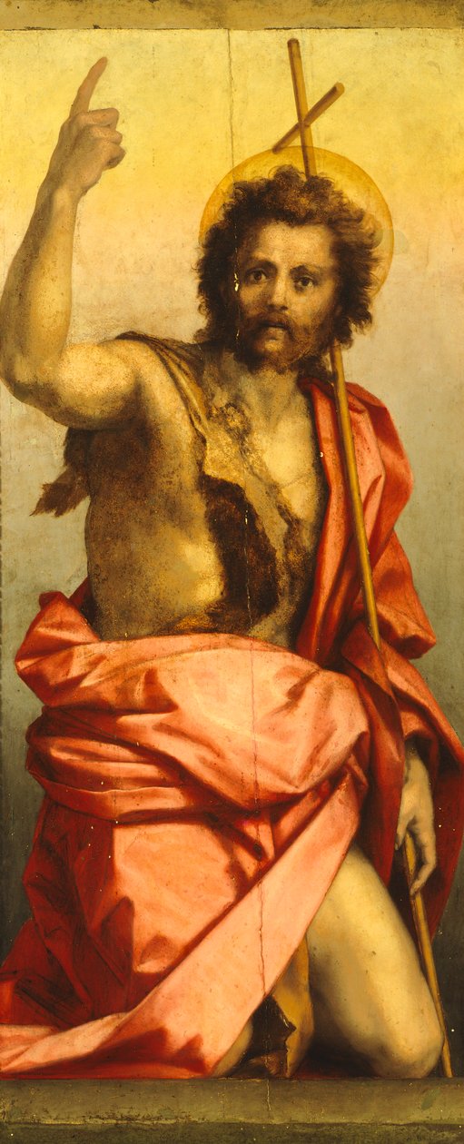 Pintura de São João Batista (óleo sobre painel) de Andrea del Sarto