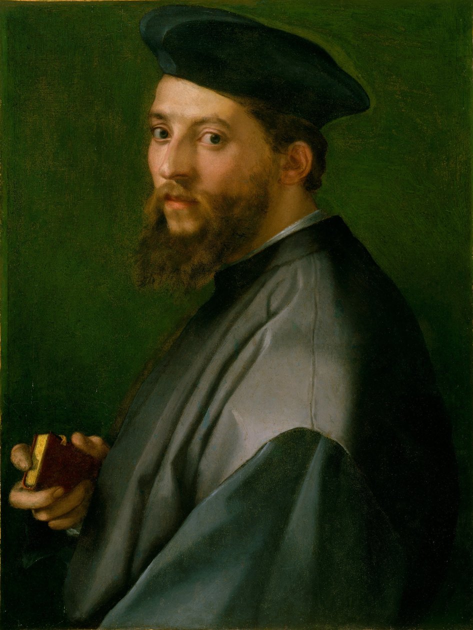 Retrato de um homem de Andrea del Sarto