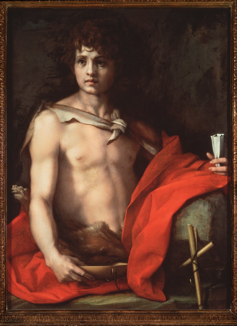 São João Batista (Pintura de Andrea del Sarto
