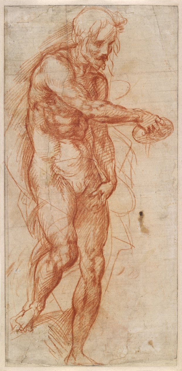 Estudo de São João Batista, ca 1518 de Andrea del Sarto