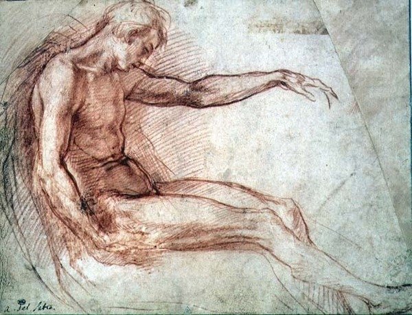Macho Nú Sentado (giz vermelho sobre papel) de Andrea del Sarto