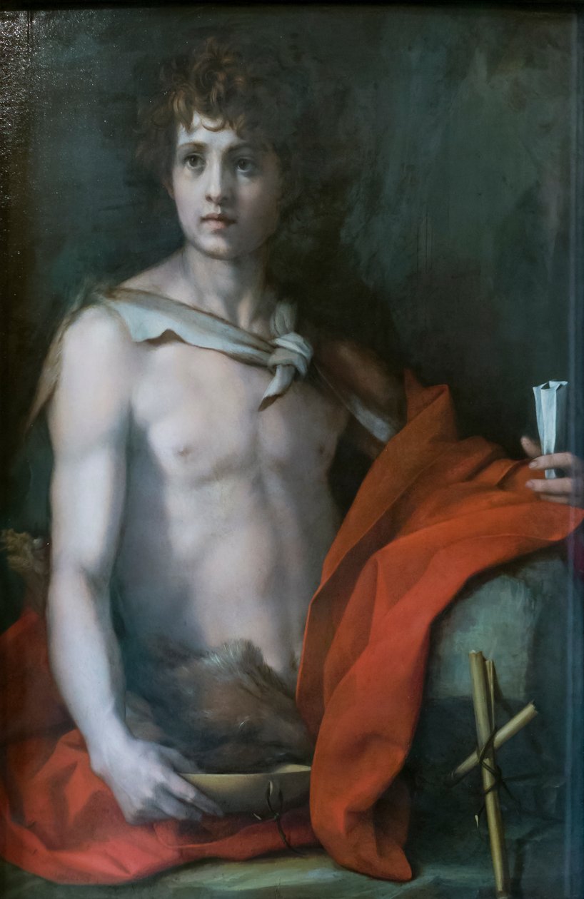 São João Baptista de Andrea del Sarto