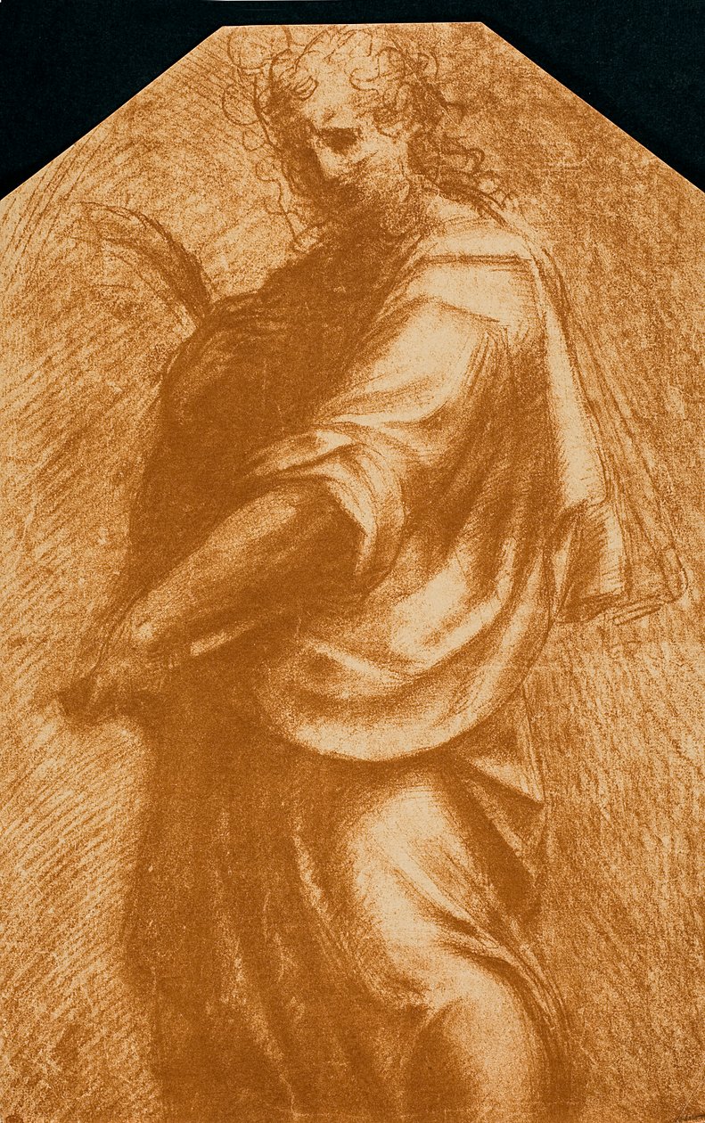 São João Batista de Andrea del Sarto