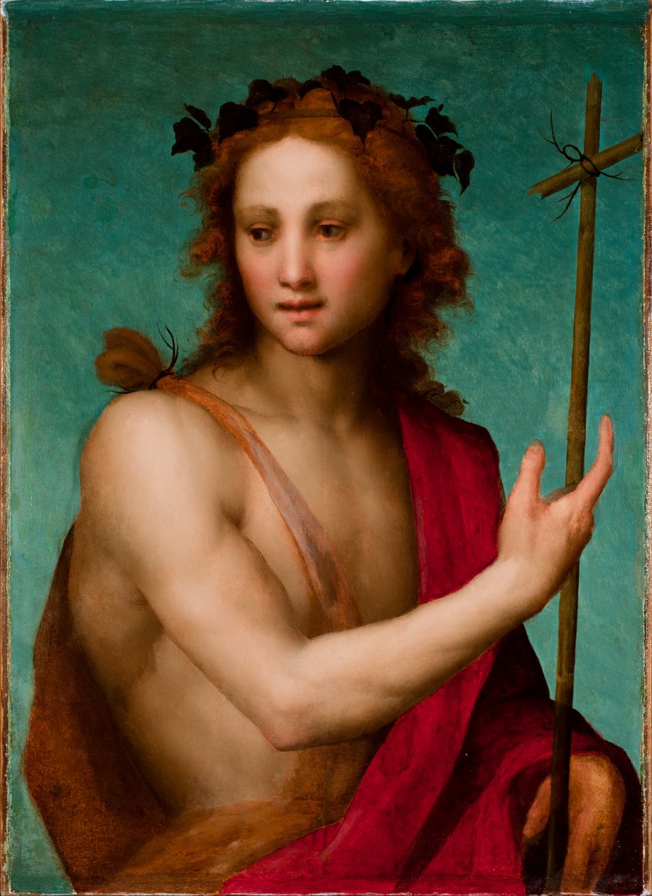 São João Batista, c.1517 (óleo no painel transferido para a tela) de Andrea del Sarto