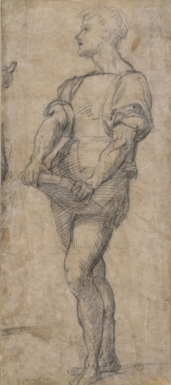 Jovens em pé segurando um livro, ca 1515 de Andrea del Sarto