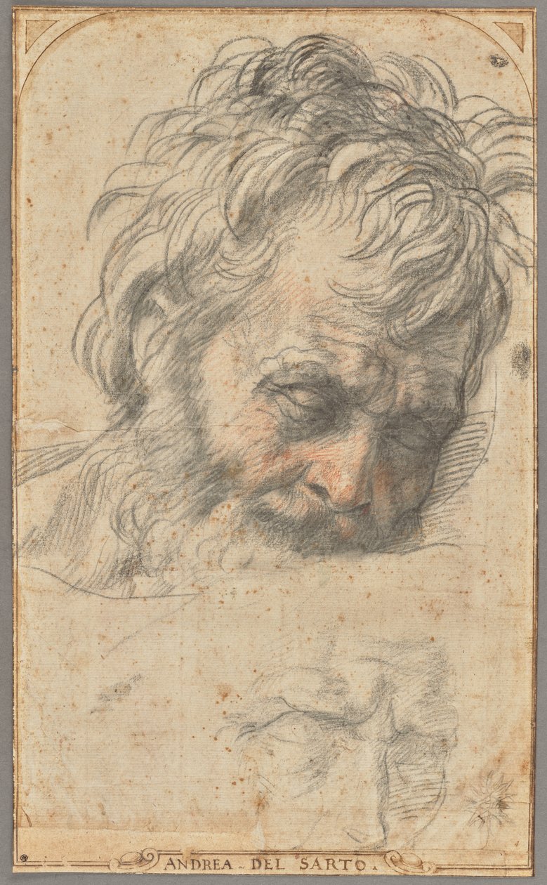 Estudo para a cabeça de São José (anverso); Dois estudos de pernas (verso) de Andrea del Sarto
