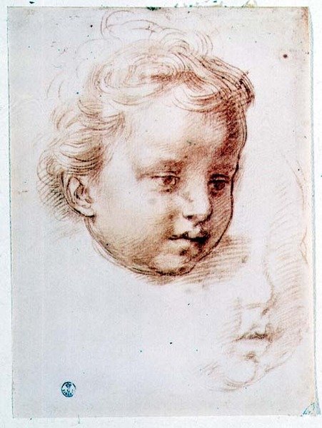 Estudo da cabeça de uma criança (giz sobre papel) de Andrea del Sarto