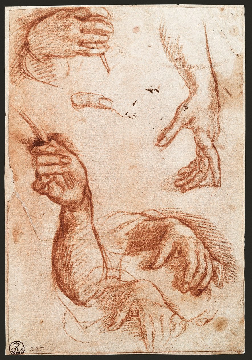 "Estudo das mãos" desenhando carvão vegetal (carvão vegetal) de Andrea del Sarto