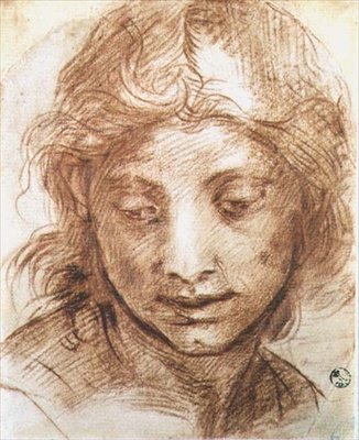 Estudo da cabeça de uma jovem mulher (giz) de Andrea del Sarto