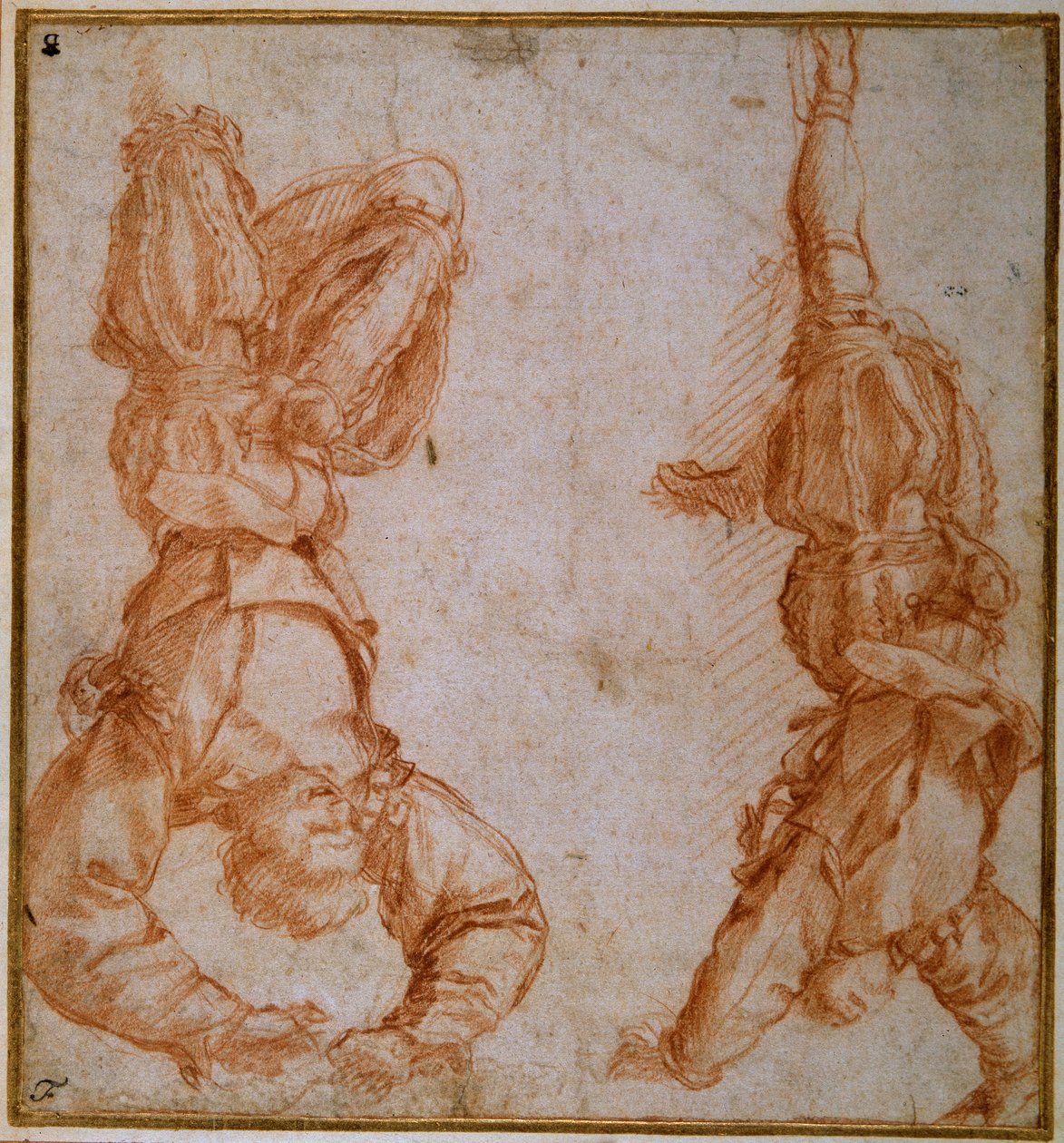 Dois estudos de um homem suspenso pela sua perna esquerda (giz vermelho sobre papel creme) de Andrea del Sarto