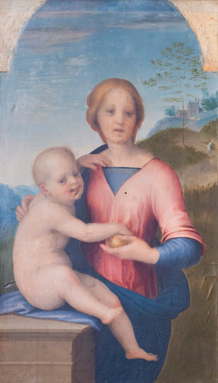 Virgem e Criança (óleo sobre madeira) de Andrea del Sarto