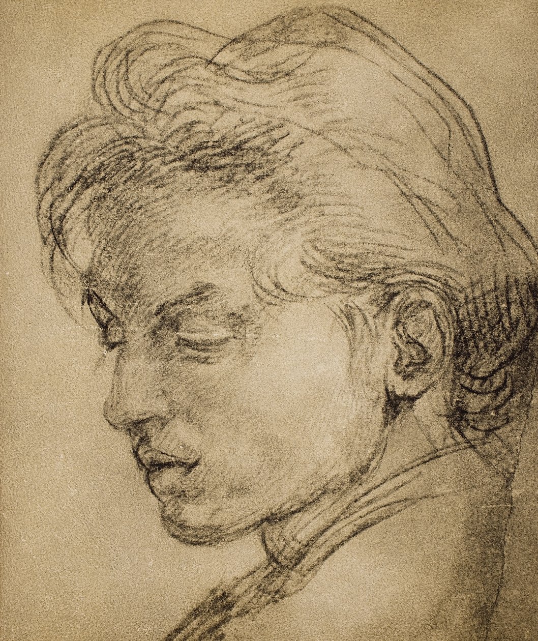 Cabeça Viril no perfil de Andrea del Sarto