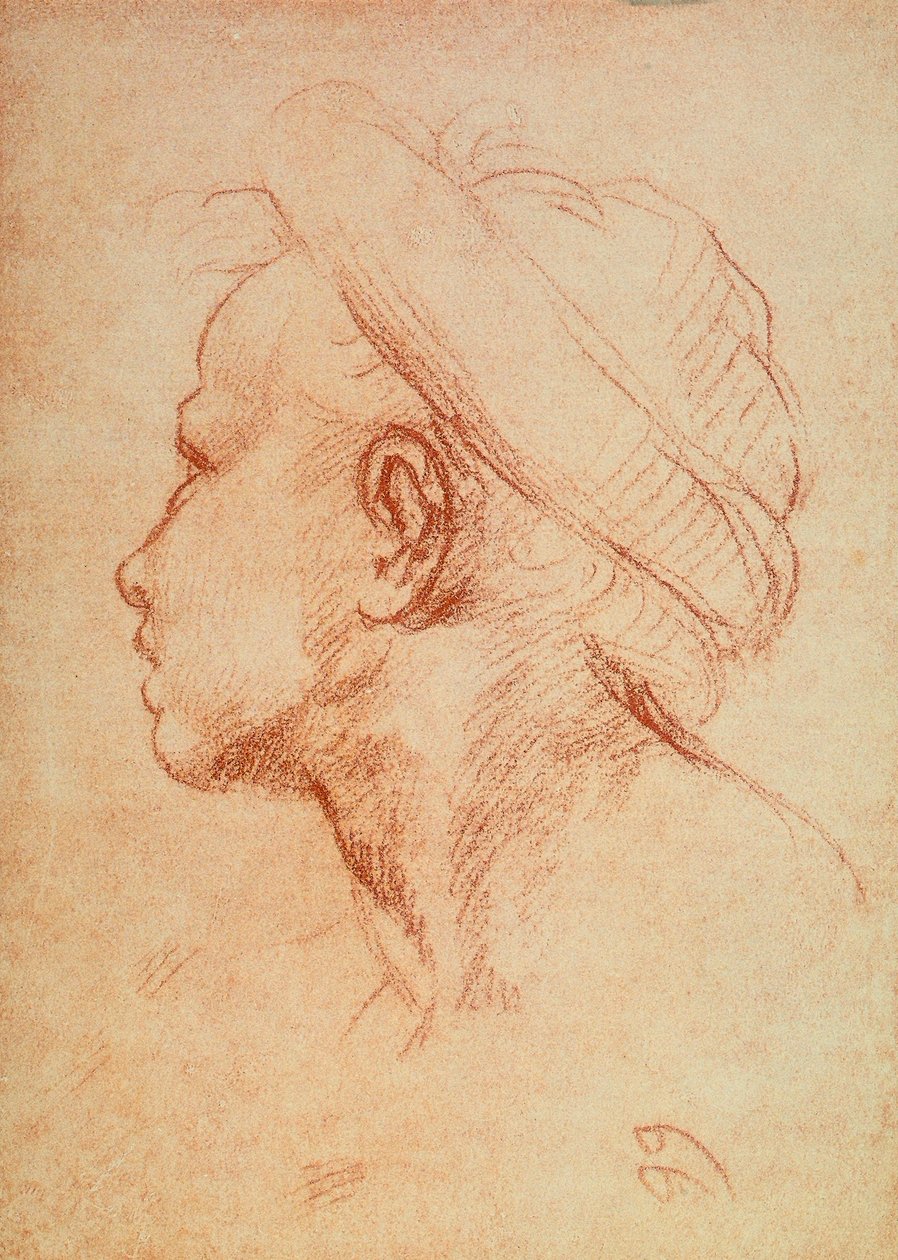 Juventude cabeça no perfil de Andrea del Sarto