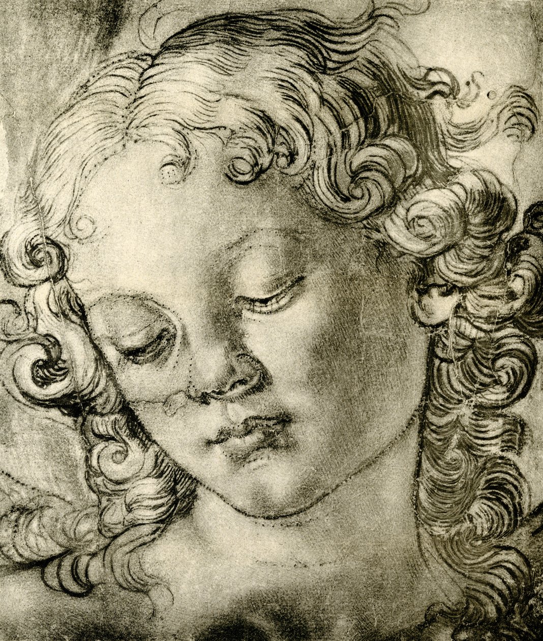 Cabeça de anjo de Andrea del Verrocchio