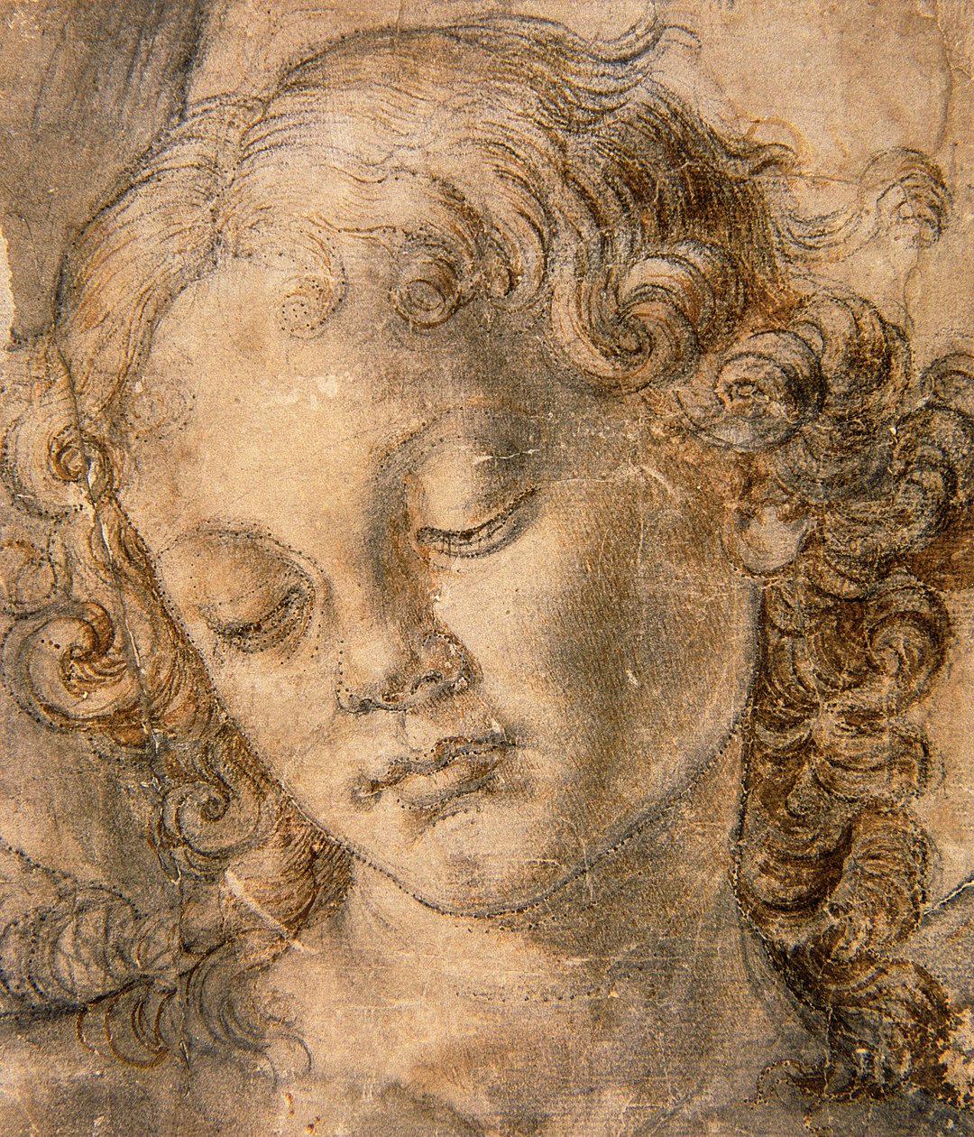 Cabeça de anjo de Andrea del Verrocchio