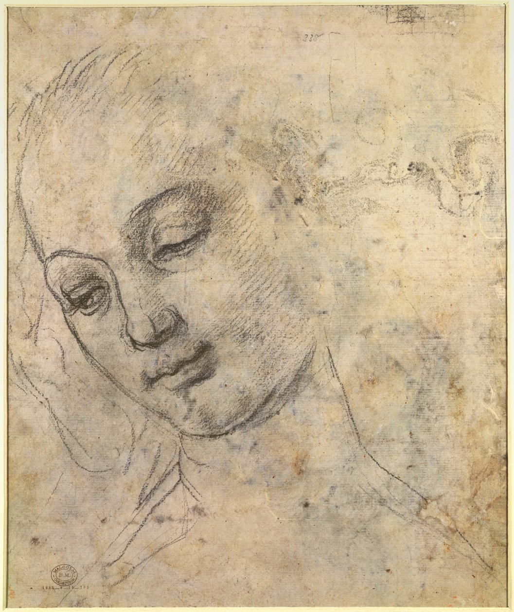 Retrato de uma cabeça feminina (giz preto sobre papel) de Andrea del Verrocchio
