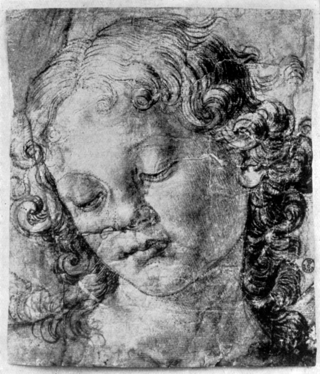A cabeça de um anjo, século XV, 1930. de Andrea del Verrocchio