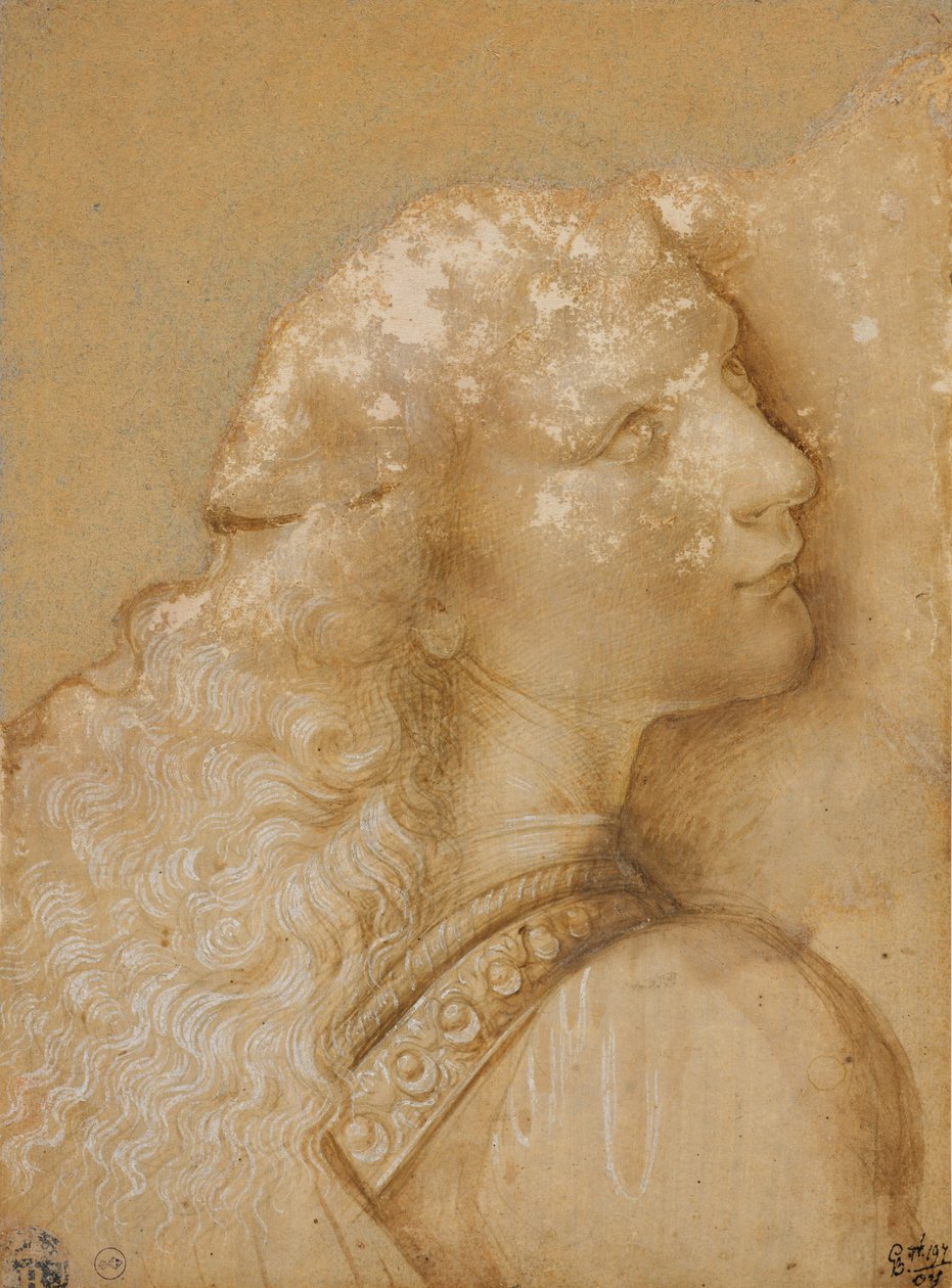Busto de um jovem, estudo para o anjo do “Batismo de Cristo” de Verrocchio, c. 1475 (ponta de metal, aquarela ocre e tinta branca sobre papel preparado de ocre claro) de Andrea del Verrocchio