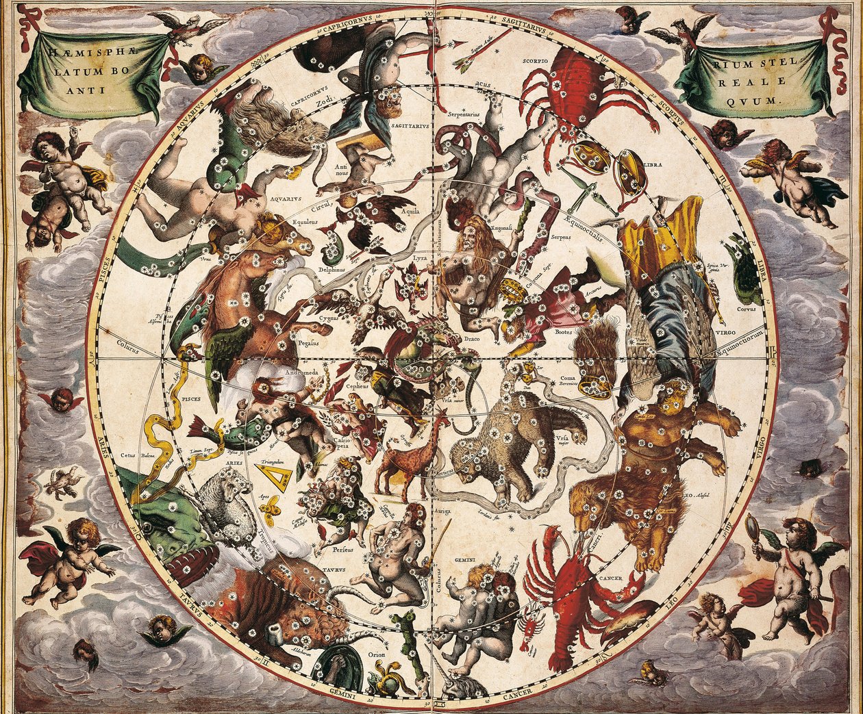 CELLARIUS, Andreas (1596-1665). Atlas Coelestis seu Harmonia Macrocosmica. 1661. Fol 24. Hemisphaerium stellatum boreale antiquum. Representação do Hemisfério Norte. Impresso em Amesterdão por Johannes Janssonius. Era Moderna Primitiva. Gravura. ESPANHA. C de Andreas Cellarius