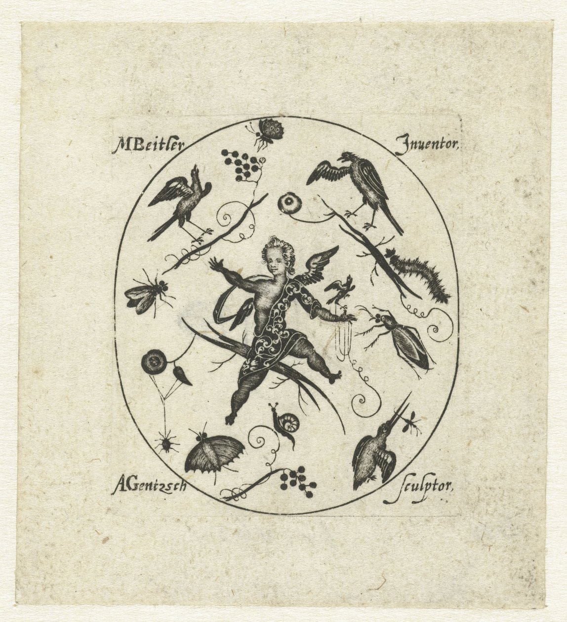 Oval com putto rodeado de pássaros, borboletas e insectos
Grotescos modernos sob a forma de ornamentos pretos (título da série) de Andreas Gentzsch