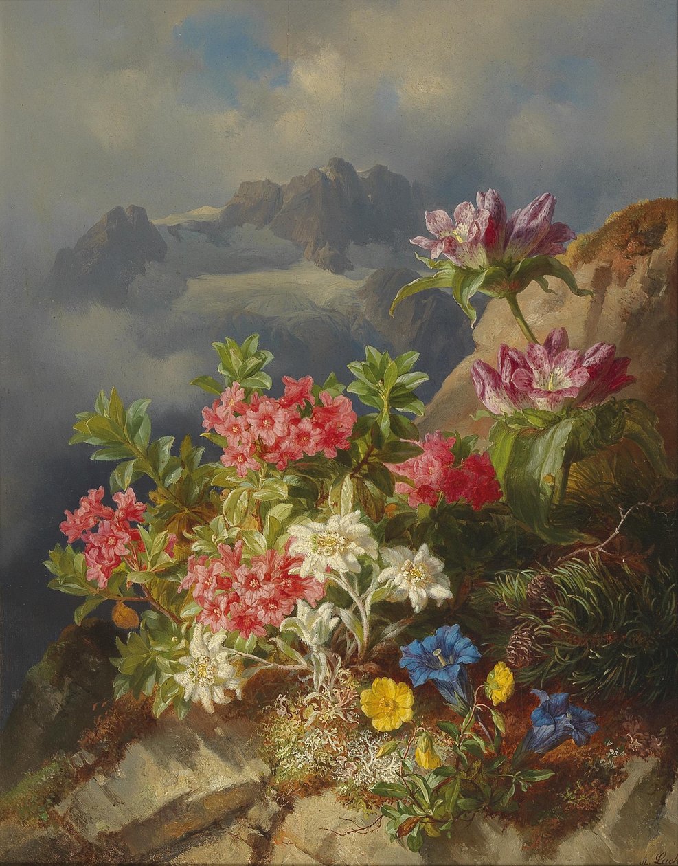 Natureza morta com flores alpinas de Andreas Lach
