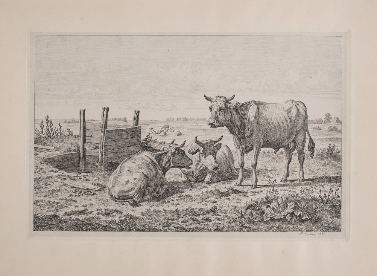 Dinamarquês: Um touro e duas vacas de Andreas Peter Madsen