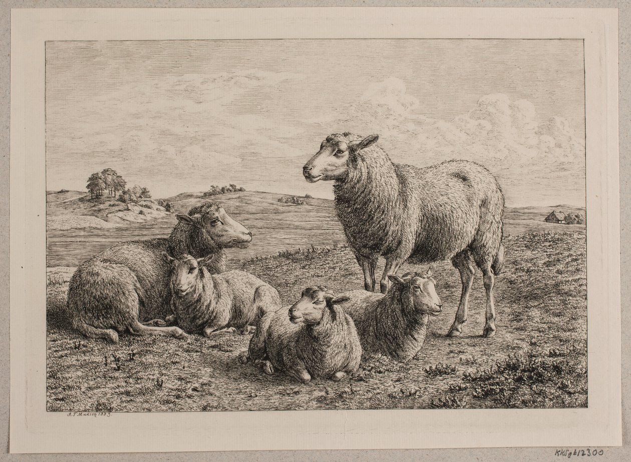 Dinamarquês: Ovelhas e cordeiros no campo de Andreas Peter Madsen