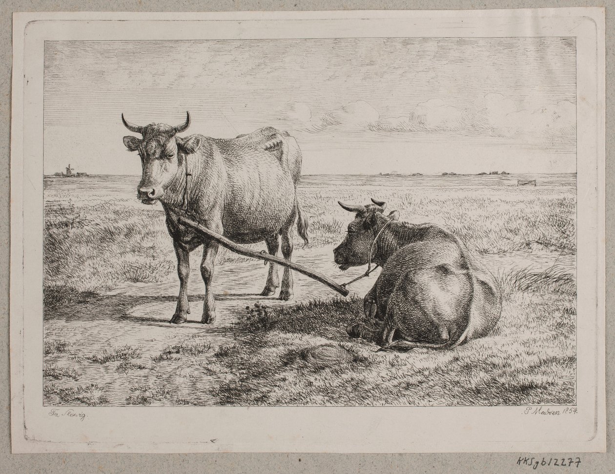 Dinamarquês: Duas vacas interligadas de Andreas Peter Madsen