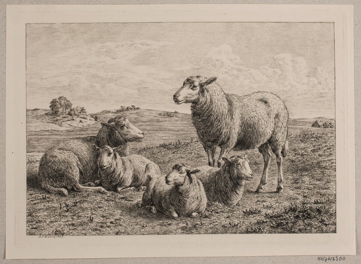 Ovelhas e cordeiros no campo de Andreas Peter Madsen
