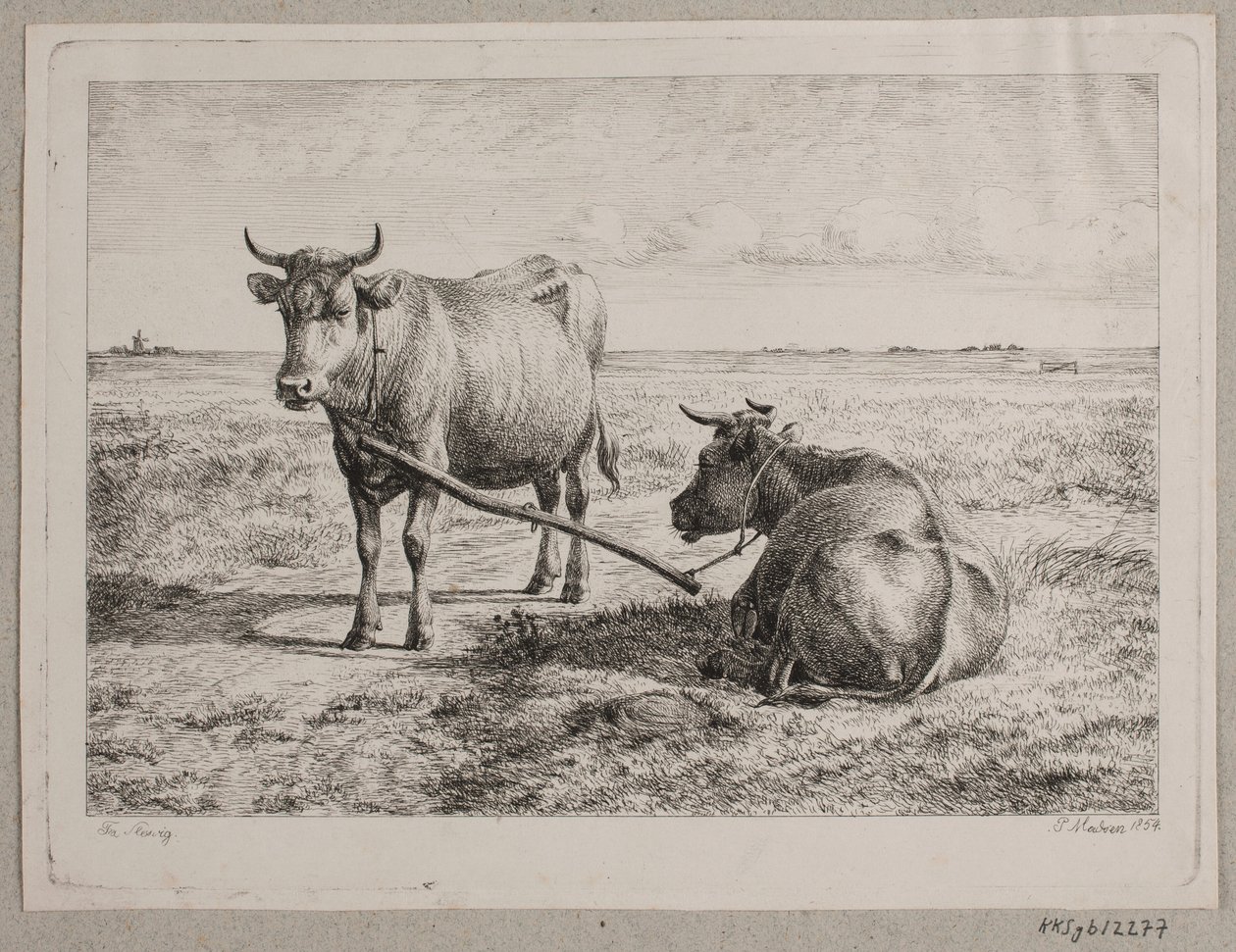 Duas filas vinculadas de Andreas Peter Madsen