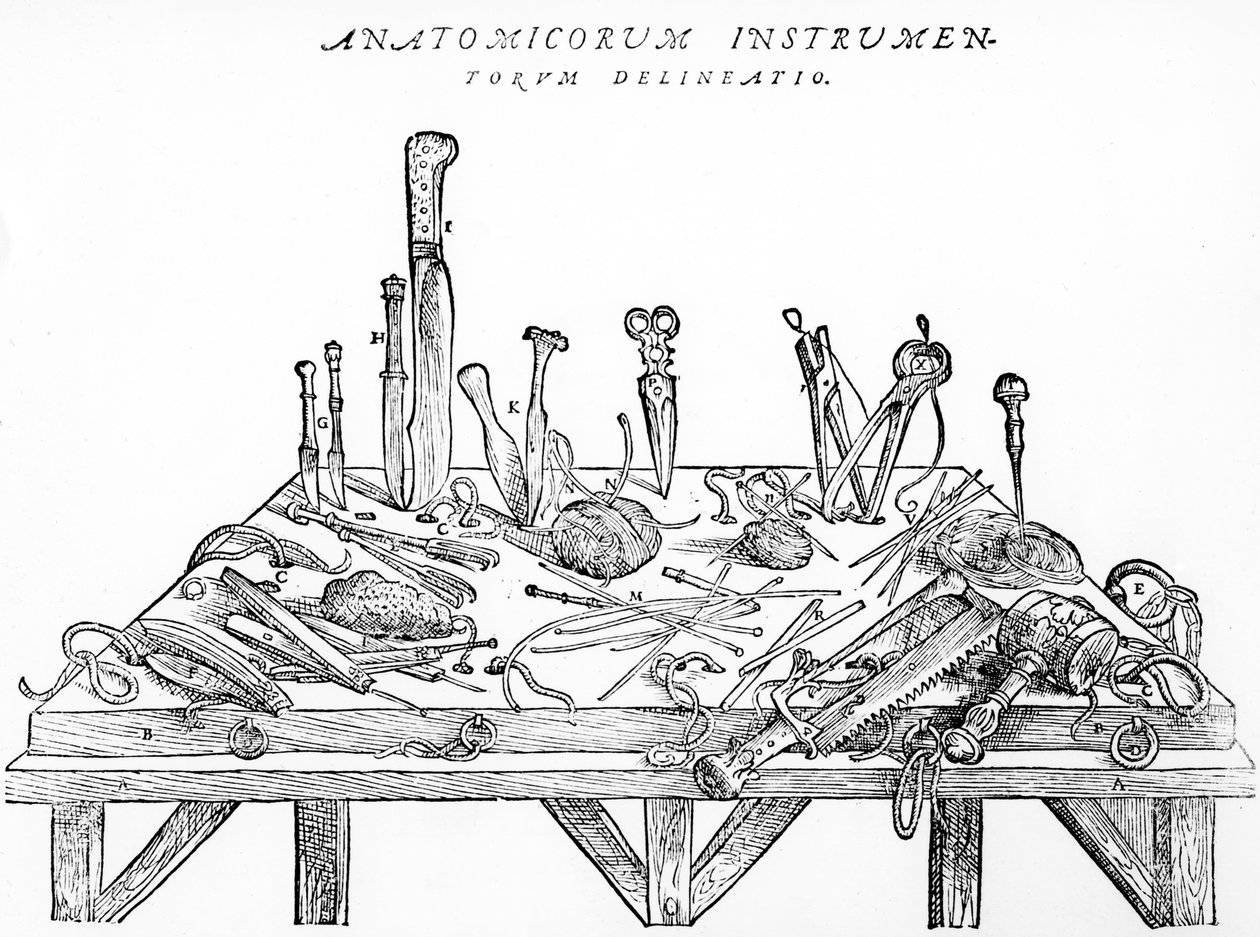 Instrumentos para dissecção, ilustração ", os dispositivos do corpo humano de Andreas Vesalius