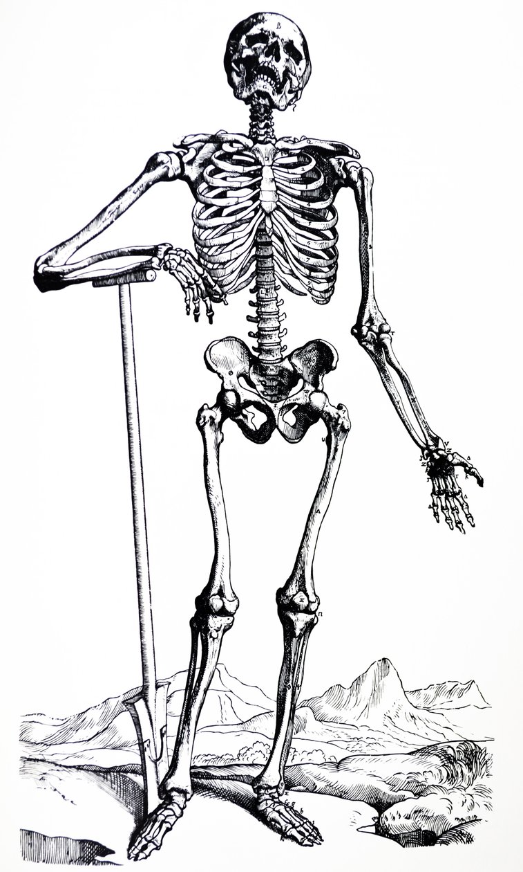 As Placas do Primeiro Livro do De Humani Corporis Fabrica de Andreas Vesalius