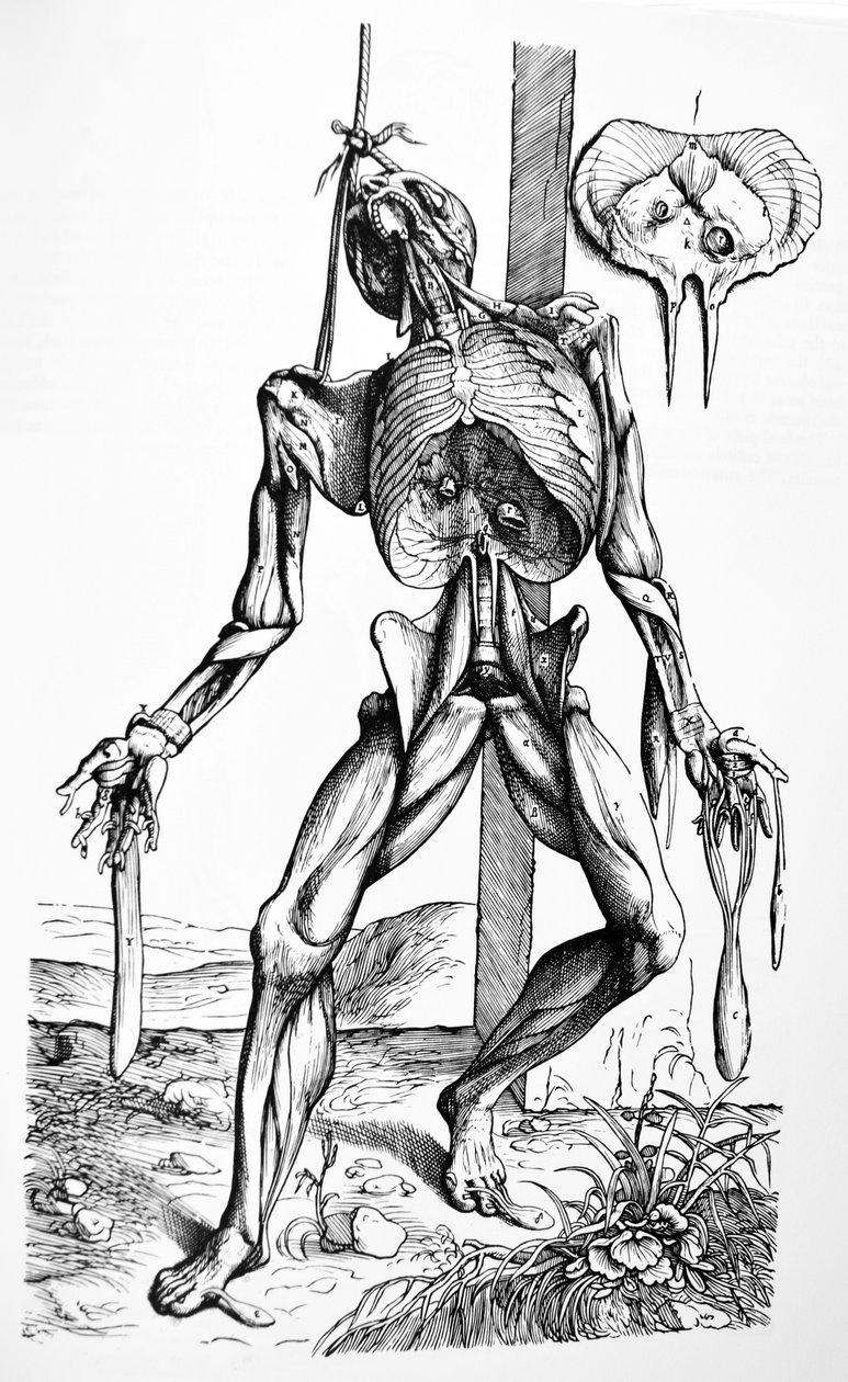 As Placas do Segundo Livro do De Humani Corporis Fabrica de Andreas Vesalius