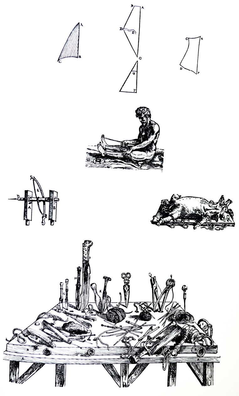 As Placas do Segundo Livro do De Humani Corporis Fabrica de Andreas Vesalius