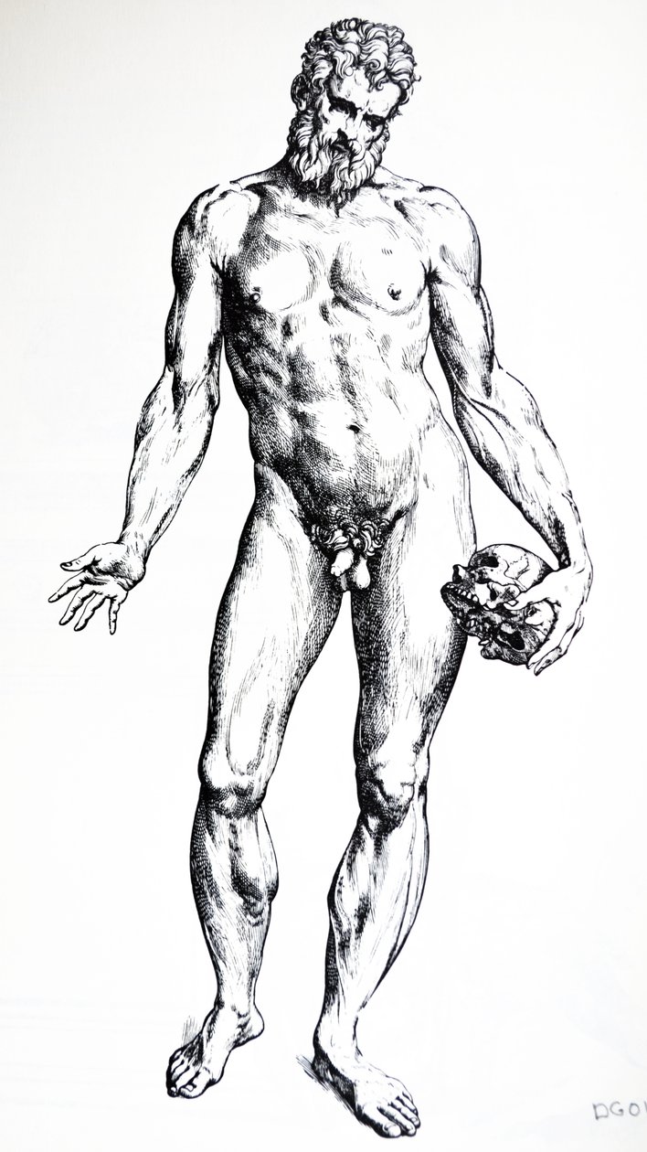 As Placas do Sétimo Livro do De Humani Corporis Fabrica de Andreas Vesalius