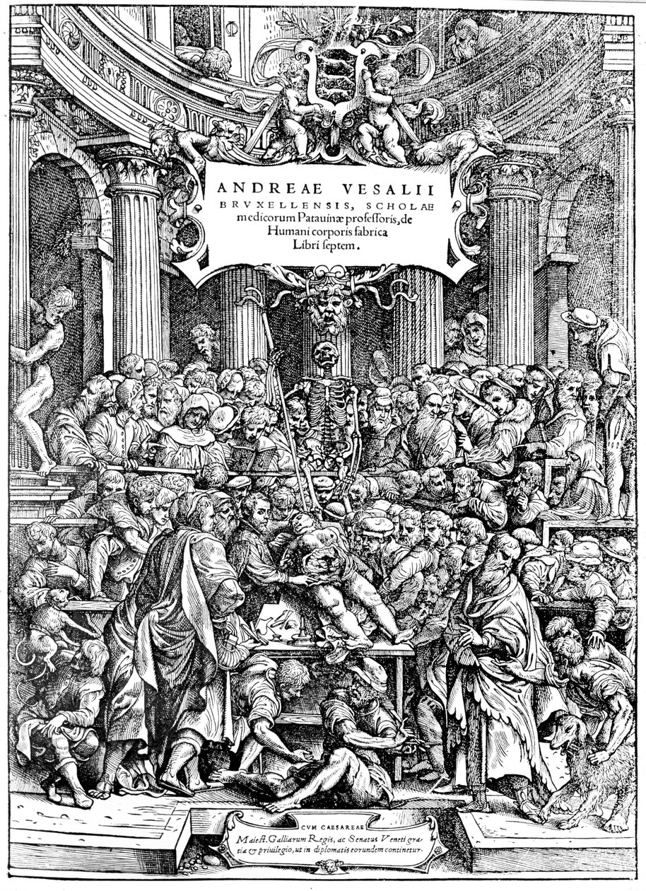 A página de título do corpo humano, Vesalius&39; Fabrica desenho mostrando dissecando corpo 1543 de Andreas Vesalius