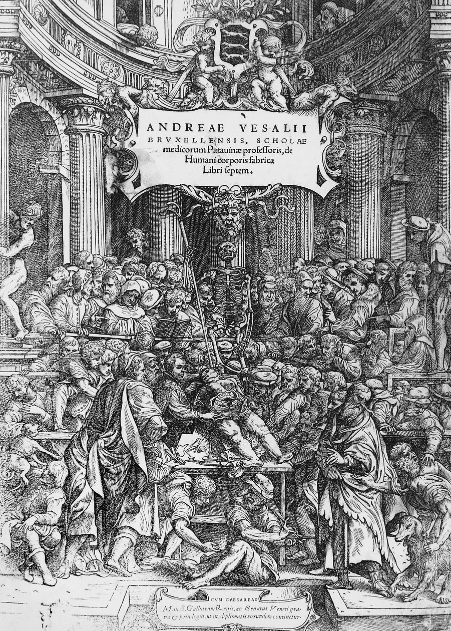 Página de título de De humani corporis fabrica (Latim para Em tecido do corpo humano), onde Andreas Vesalius é representado dissecando cadáver de Andreas Vesalius
