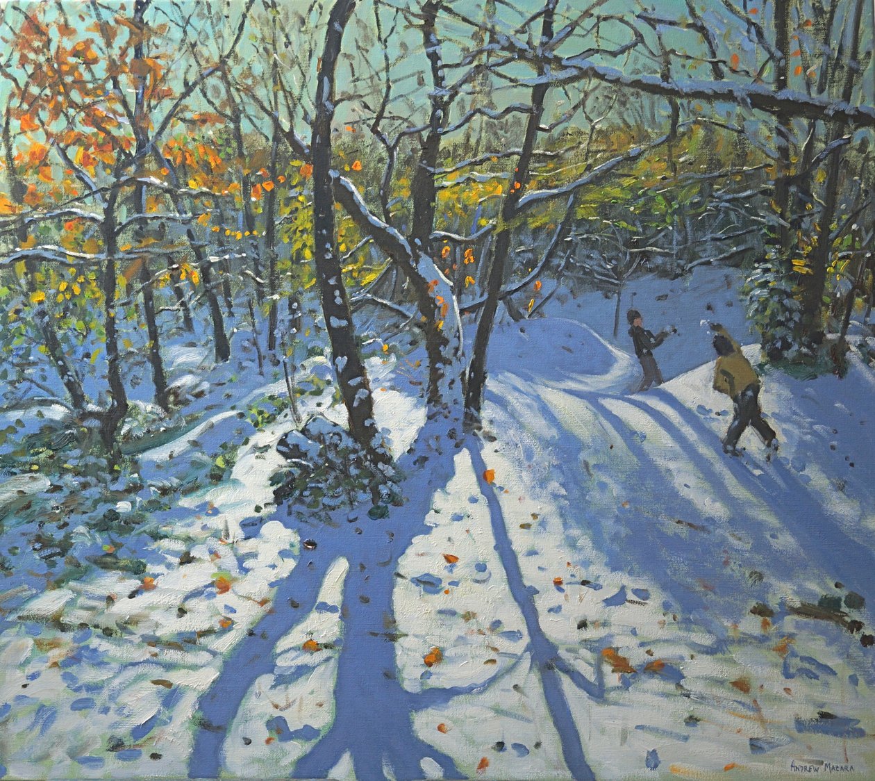Allestree Park Woods novembro de 2010 de Andrew Macara